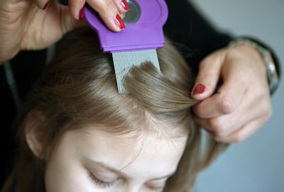 Imagen sin descripción