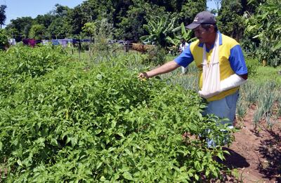 Imagen sin descripción