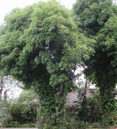 /pf/resources/images/abc-placeholder.png?d=2422