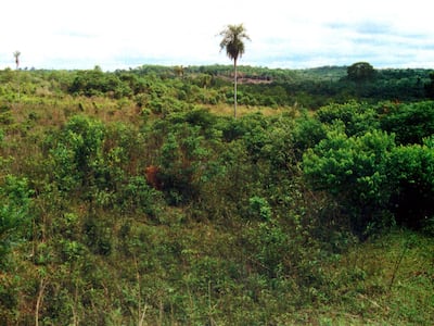 Orillas del arroyo Itandey. Las tropas del mariscal López acamparon en este lugar el 10 de setiembre de 1869. López abandonaría este campamento el 17 de octubre para dirigirse a San Isidro de Kuruguaty.
Fotografía de Pablo Medina, periodista de ABC asesinado en esta misma zona, el 14 de octubre de 2014, en cumplimiento de su deber.