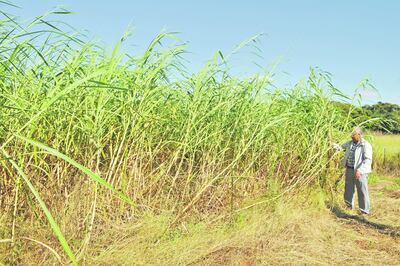 /pf/resources/images/abc-placeholder.png?d=2421