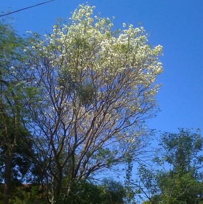 /pf/resources/images/abc-placeholder.png?d=2421