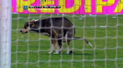 /pf/resources/images/abc-placeholder.png?d=2428