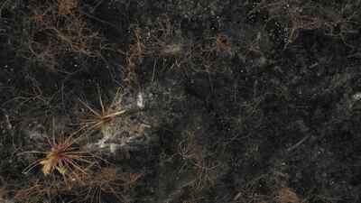 Vista aérea de los daños causados en el Parque Nacional Otuquis National Park, en el Pantanal boliviano.