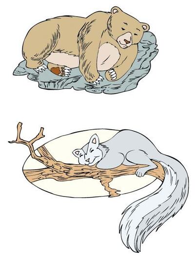 Imagen sin descripción