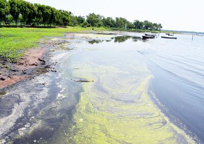 /pf/resources/images/abc-placeholder.png?d=2421