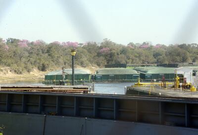 Por el bajo  nivel de los ríos, aceiteras hablan de un paro.