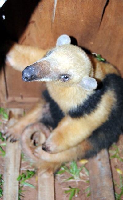 /pf/resources/images/abc-placeholder.png?d=2425