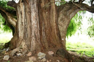 /pf/resources/images/abc-placeholder.png?d=2425