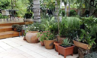 Imagen sin descripción