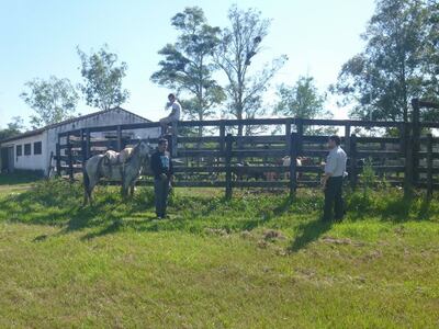 /pf/resources/images/abc-placeholder.png?d=2428