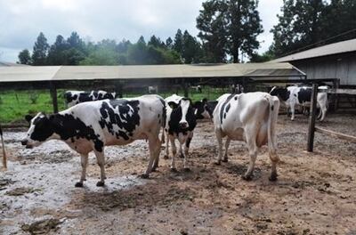 /pf/resources/images/abc-placeholder.png?d=2416