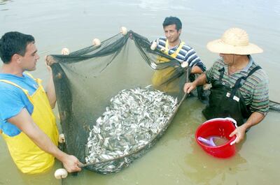 /pf/resources/images/abc-placeholder.png?d=2420