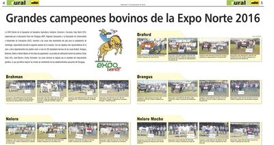 /pf/resources/images/abc-placeholder.png?d=2421