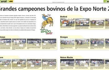 grandes-campeones-bovinos-de-la-expo-norte-2016-123356000000-1501893.jpg