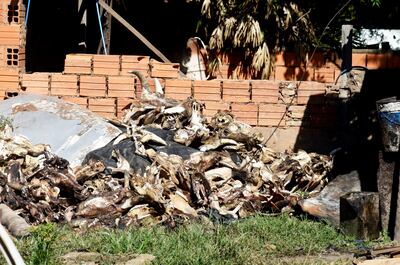 Mataderos contaminan cinco barrios.