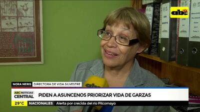 /pf/resources/images/abc-placeholder.png?d=2421