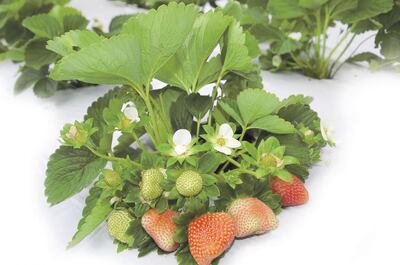 /pf/resources/images/abc-placeholder.png?d=2402