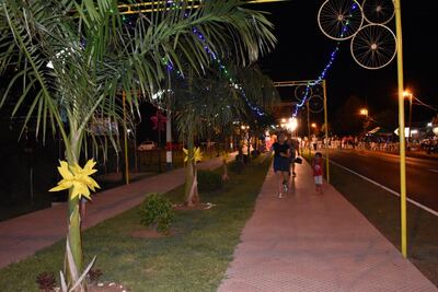 Otra parte del extenso caminero adornado.