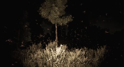 /pf/resources/images/abc-placeholder.png?d=2394