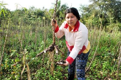 /pf/resources/images/abc-placeholder.png?d=2411