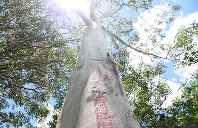 /pf/resources/images/abc-placeholder.png?d=2393