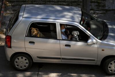 Ciudadana de Montevideo en su vehículo con sus mascotas.
