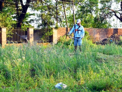 Personal de la Municipalidad de Villa Elisa hará la limpieza de los terrenos luego de aplicar la multa que corresponda.