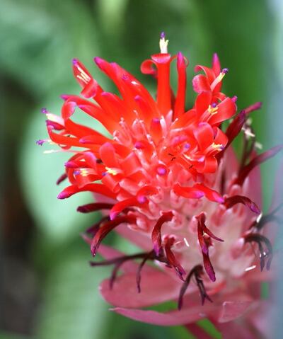 Imagen sin descripción