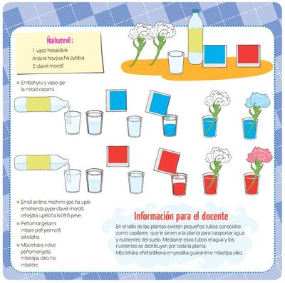 /pf/resources/images/abc-placeholder.png?d=2395