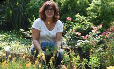 Imagen sin descripción