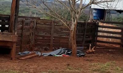 /pf/resources/images/abc-placeholder.png?d=2398