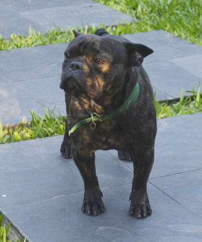 Imagen sin descripción