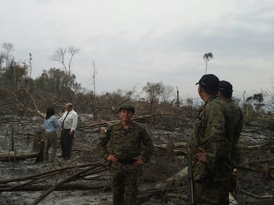 Imagen sin descripción