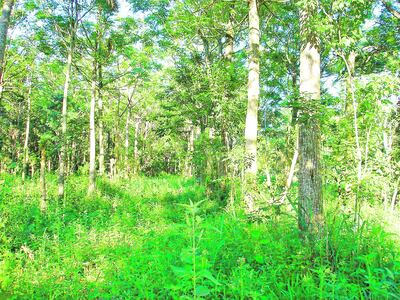 /pf/resources/images/abc-placeholder.png?d=2422