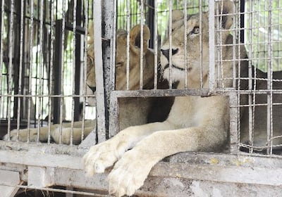 /pf/resources/images/abc-placeholder.png?d=2393