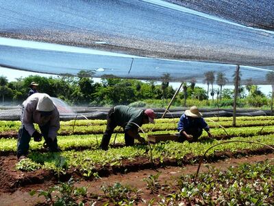 /pf/resources/images/abc-placeholder.png?d=2421