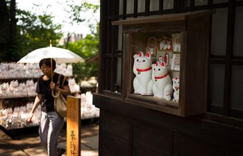 un-templo-de-gatos-de-la-suerte-atrae-en-tokio-175213000000-1743937.JPG