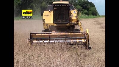 /pf/resources/images/abc-placeholder.png?d=2421