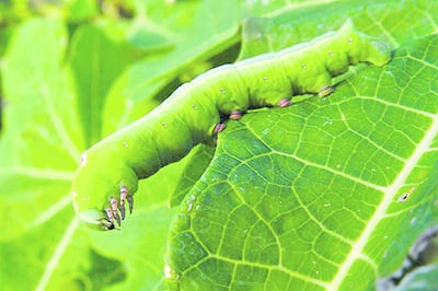 /pf/resources/images/abc-placeholder.png?d=2395