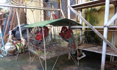 /pf/resources/images/abc-placeholder.png?d=2394