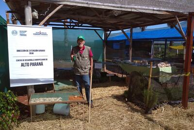 El Ing. Rubén Cañete mostrando las plantas medicinales.