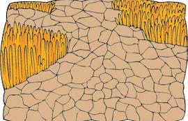 la-desertificacion-y-la-sequia-225436000000-1090524.jpg