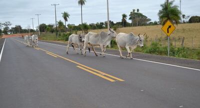 /pf/resources/images/abc-placeholder.png?d=2429