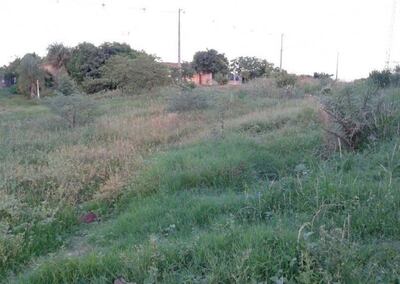 /pf/resources/images/abc-placeholder.png?d=2436