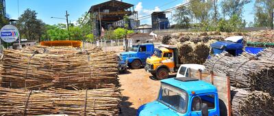 La fila de camiones frente a la planta alcoholera de Petropar en Mauricio José Troche. Los cañeros se quejan por la demora de más de seis días para despachar la carga. Ocurre en todas las zafras y no solo ahora justifican los directivos de la fábrica del Estado.