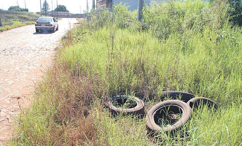 La prevención contra el dengue es la clave.