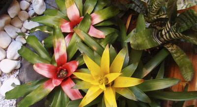 /pf/resources/images/abc-placeholder.png?d=2425