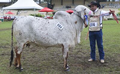 /pf/resources/images/abc-placeholder.png?d=2445