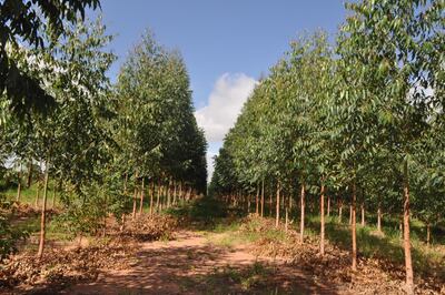 /pf/resources/images/abc-placeholder.png?d=2416